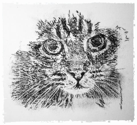 charcoal-portrait-mickey-cat-3