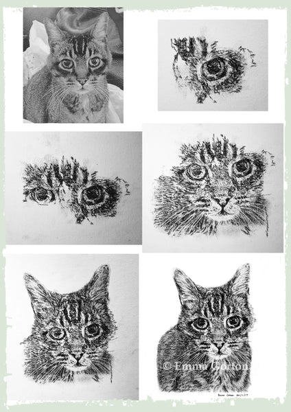 charcoal-portrait-mickey-cat