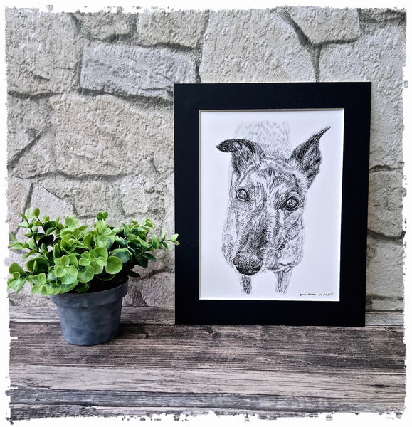 charcoal-portrait-mollie-greyhound-3