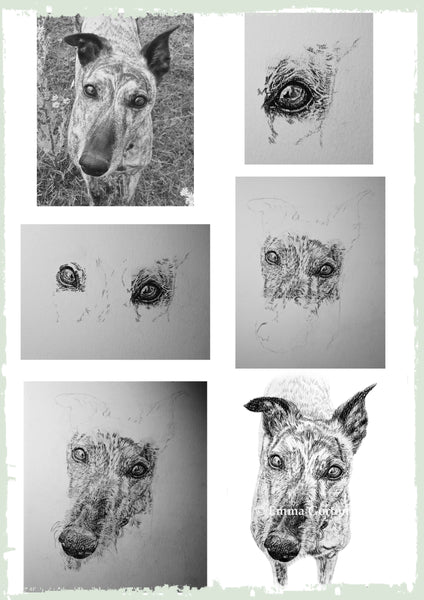 charcoal-portrait-mollie-greyhound