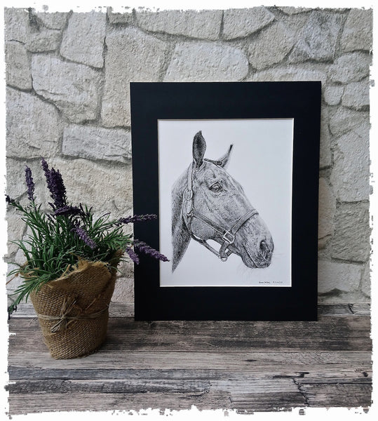 charcoal-portrait-pete-horse-2
