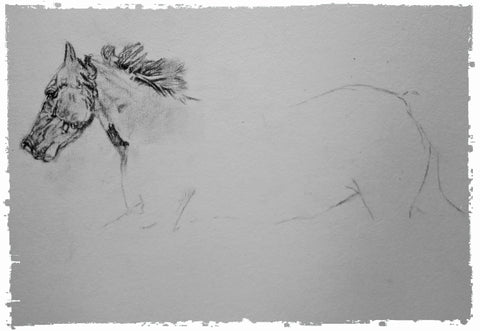 charcoal-portrait-piebald-horse-bebe-2