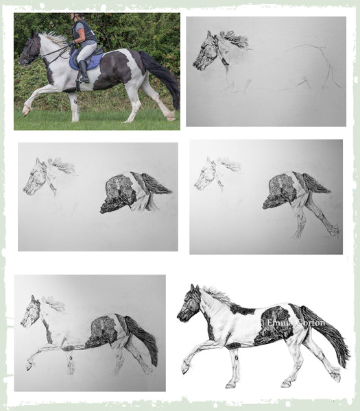 charcoal-portrait-piebald-horse-bebe