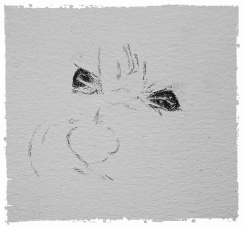 charcoal-portrait-pug-westie-7