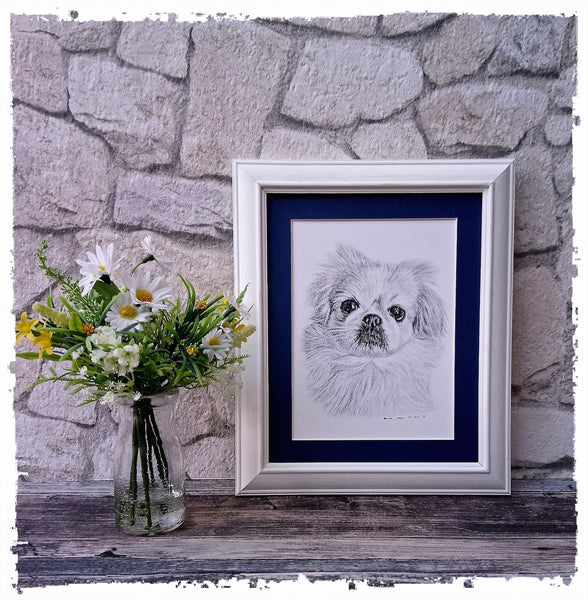 charcoal-portrait-small-dog-maple-2