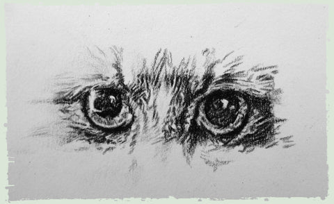 personalised-cat-drawings-ben1