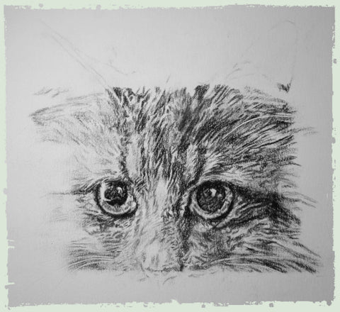 personalised-cat-drawings-ben2