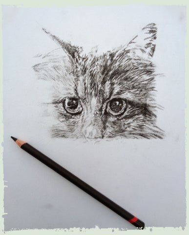 personalised-pet-drawings-ben2