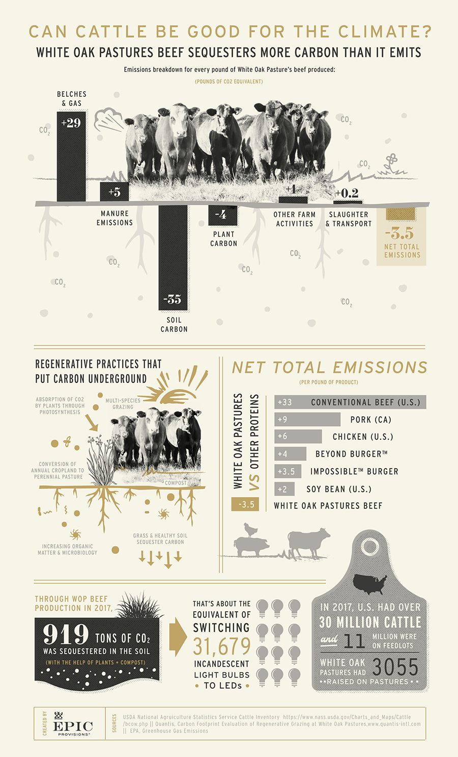 LCA Infographic