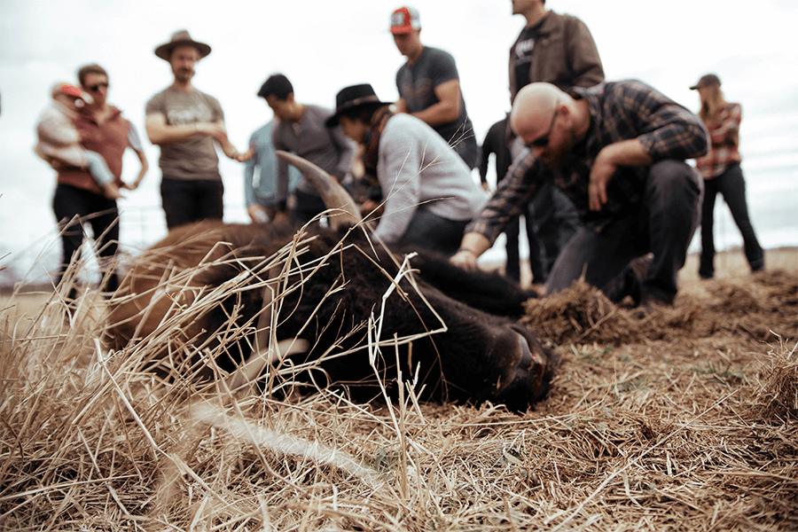 Group of people standing around dead bison in the field 