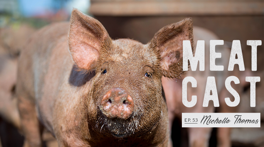 Photo of a pig with text "Meacast episode 53 Michelle Thomas"