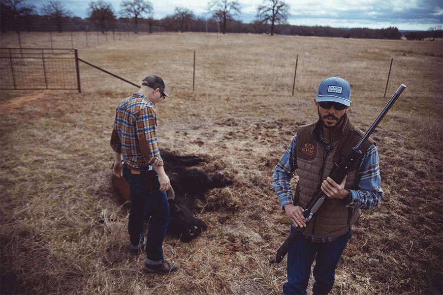 Two men, one holding a gun, next to a dead bison in the field