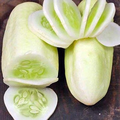 White Cucumber (20 Seeds)