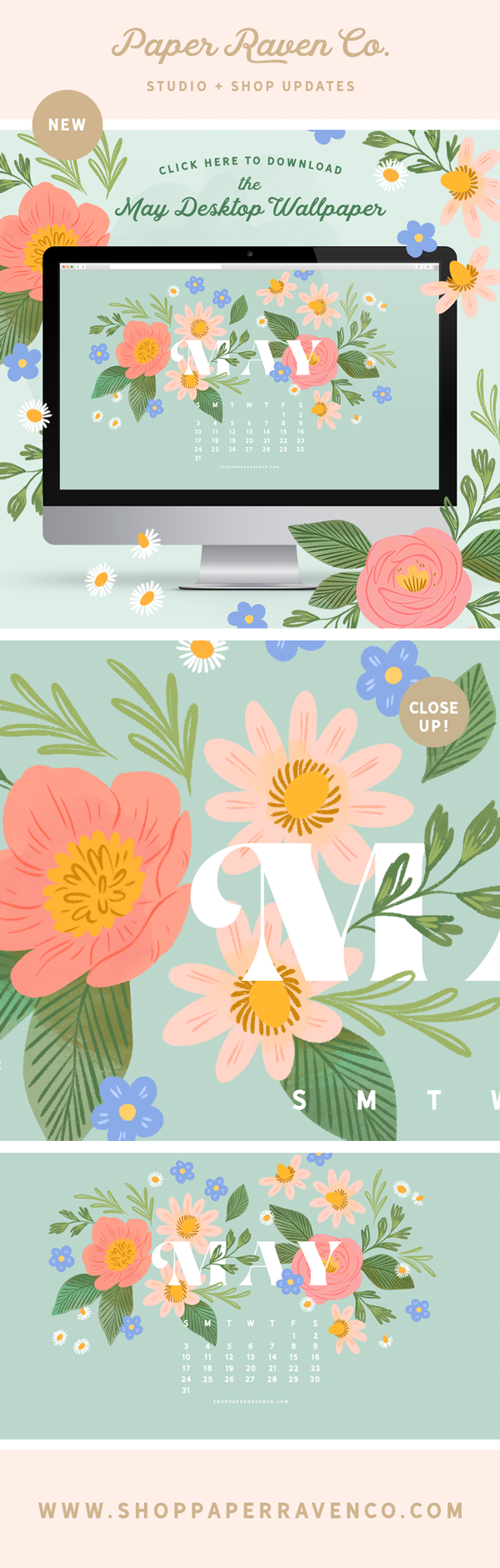 May 2020 Illustrated Desktop Wallpaper by Paper Raven Co. | www.ShopPaperRavenCo.com | #dressyourtech #desktopwallpaper #desktopdownload