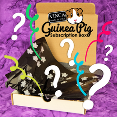 guinea pig subscription box