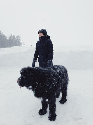 chien avec paysage d'hiver