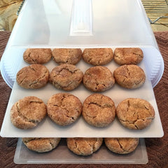 Second tray of the Snickerdoodle cookies in the Bakers Sto N Go