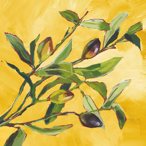 "Olive Musée" Napkins