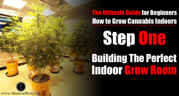 Step One How To Build The Perfect Indoor Grow Room For Up