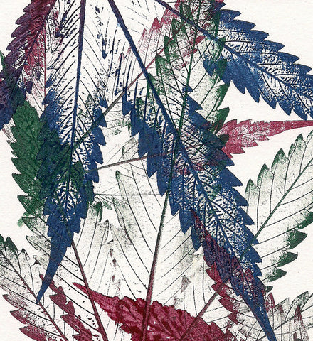cannabis-art-creativity-weed-inspired-artists-Jurassic-blueberries-marijuana-pot