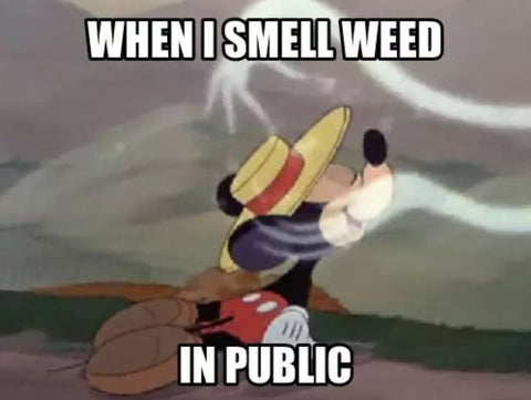 stoner-girl-quotes-funny-pothead-quotes-stoner-girl-memes-when-you're-high-meme