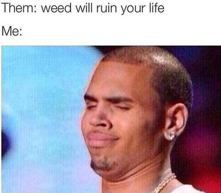 best-weed-memes-2018-funniest-stoner-memes-when-your-high-memes-about-smoking-weed