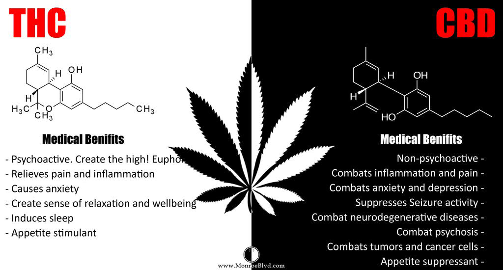 thc-vs-cbd