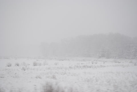 New England Snowy Marsh Land