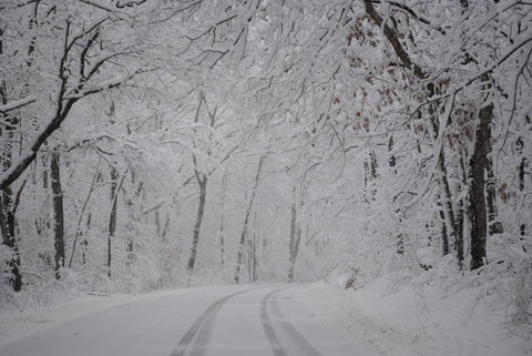 Snowy North Shore Back Roads