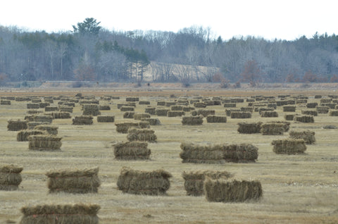 Hay field New England