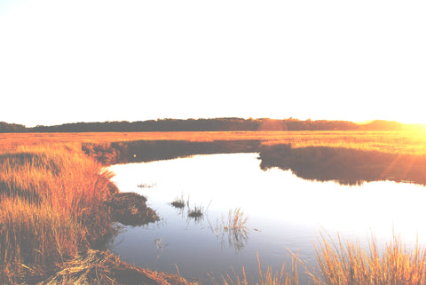 Sunset on Marsh Fields - Todder Made In New England