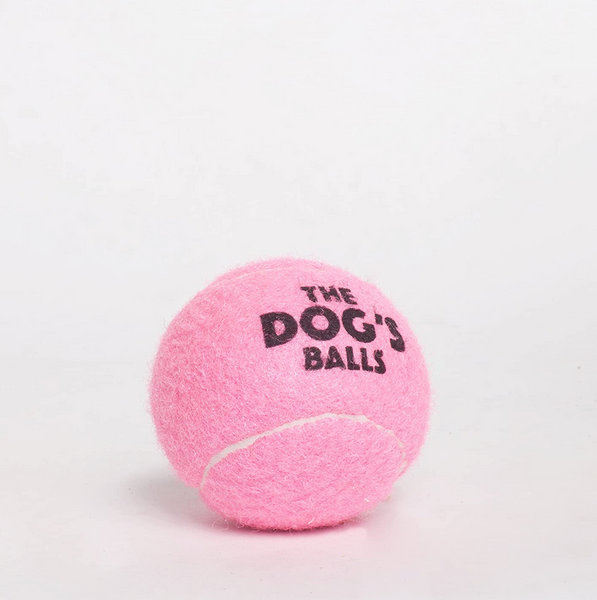 Dog Bone Shaped Tennis Ball Pet Toy Tennis Ball Bone Dog Toy seeds