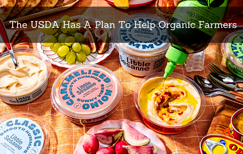 The USDA Has A Plan To Help Organic Farmers