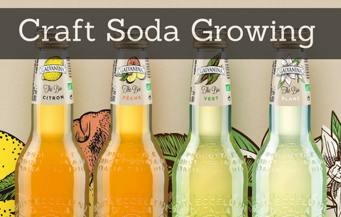 Craft soda bubbling up interest for ailing soda industry