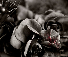 black rose broken heart