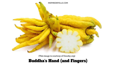 Buddha's Hand or Fingers  10 of the Most Exotic Fruits on the Planet by Elle Smith