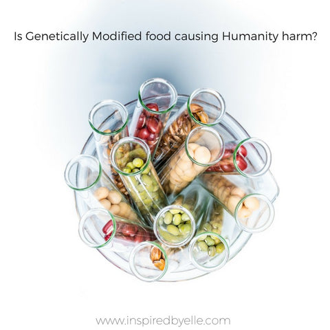 Blog Article Is Genetically Modified Food Harmful to Humanity by Elle Smith Inspired By Elle Creative Blog
