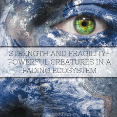 Strength and Fragility - Powerful Creatures in a Fading Ecosystem by Elle Smith UK