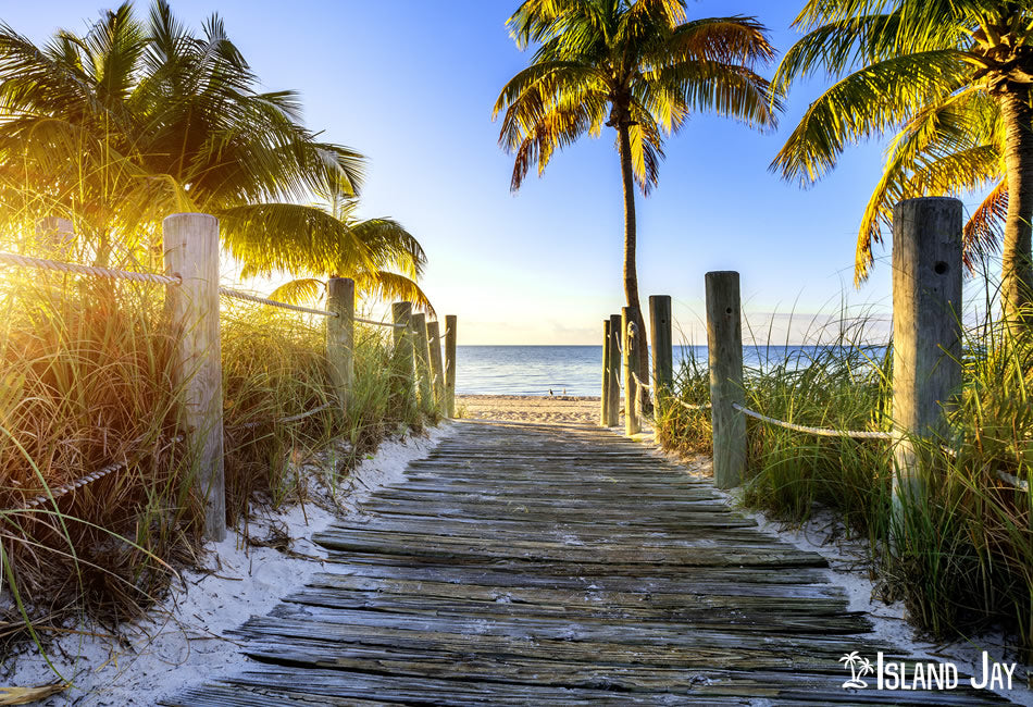 Walk Way to a Key West Beach