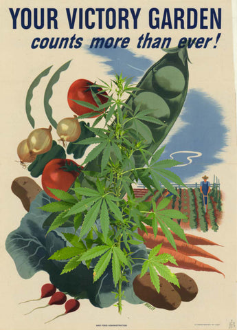 Cannabis Victory Garden
