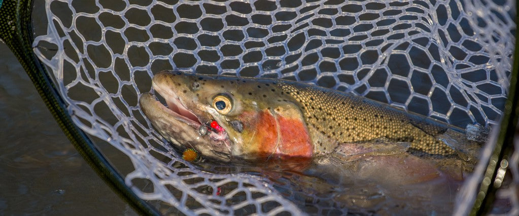 trout tackle box