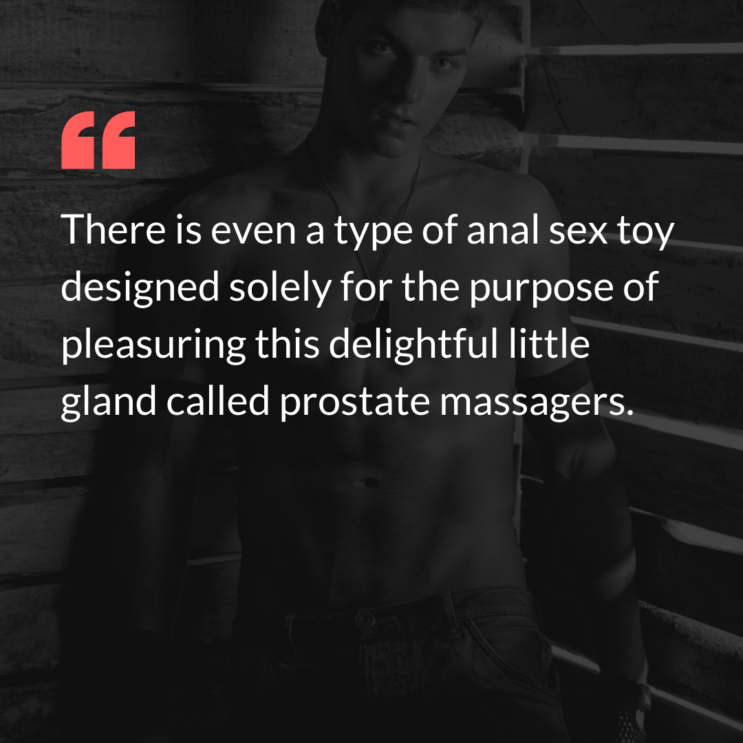 anal sex toy 