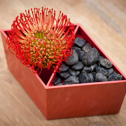 Red Rhombin with stones and a red flower