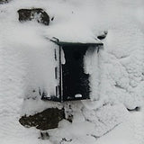 Nestbox in snow