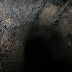 Bat Hibernation Tunnel