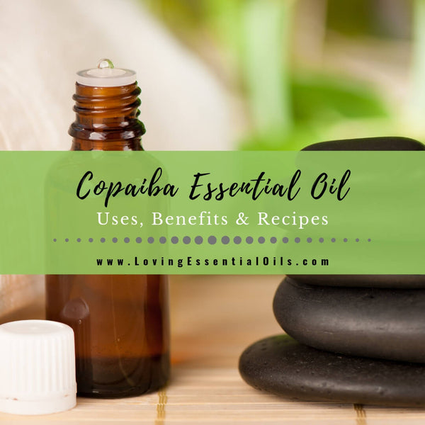 Copaiba Essential Oil Uses Benefits And Recipes Eo Spotlight