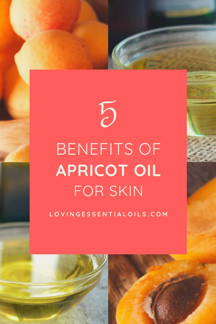 Apricot Kernal Oil for Essential Oils and Aromatherapy - Carrier Oil Spotlight