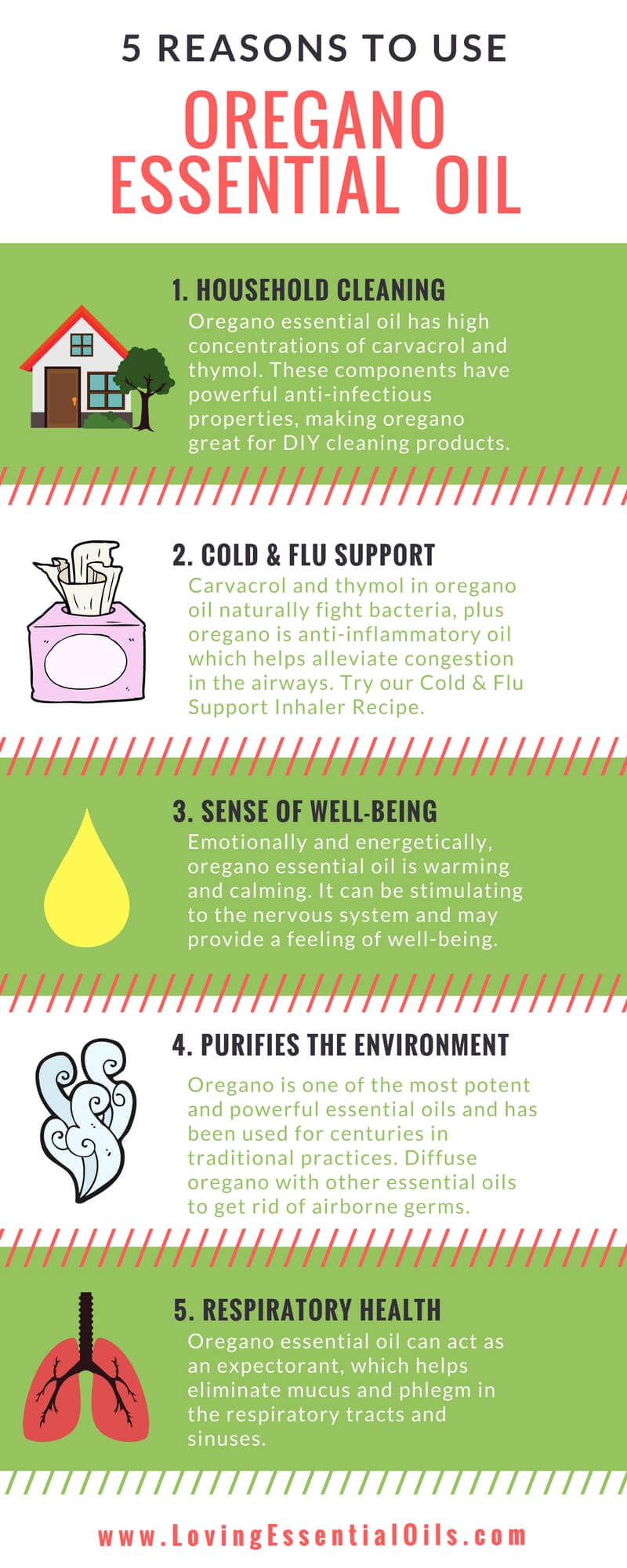 Oregano Essential Oil Uses and Benefits for Aromatherapy by Loving Essential Oils