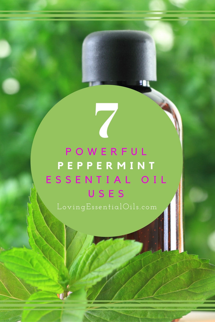 Peppermint Essential Oil Combinations and Blends by Loving Essential Oils