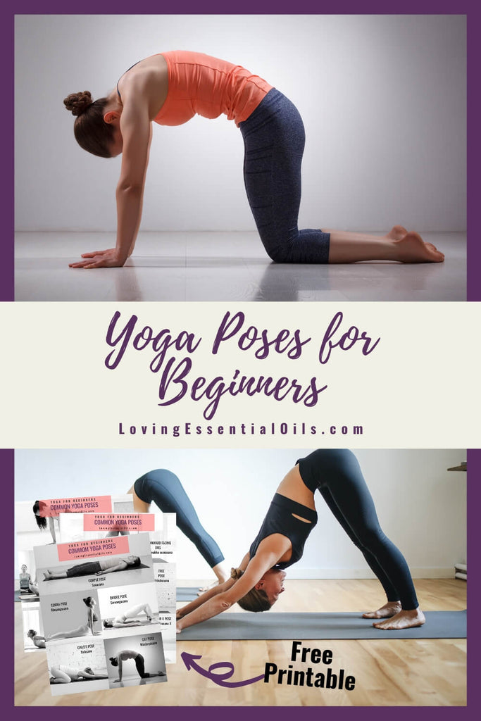Beginner Yoga Poses to Master by Loving Essential Oils